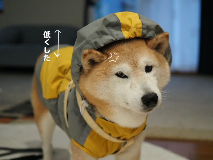 1日夕ブログ５