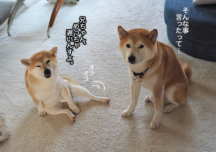 18日ブログ２