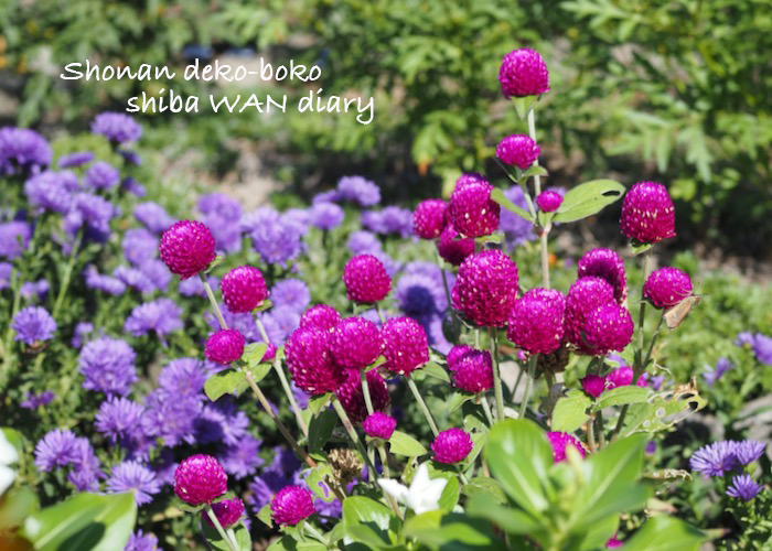 14日の午前ブログ１