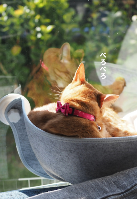 28日夕ブログ２