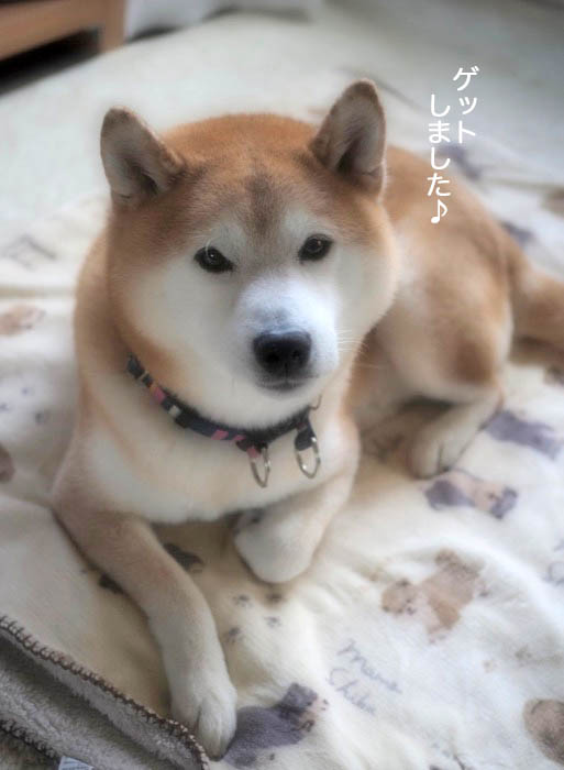 1日午後ブログ３