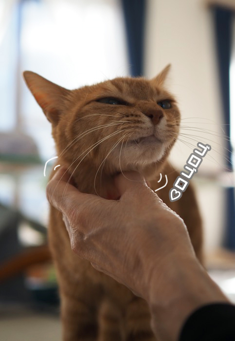 27日夕ブログ１２