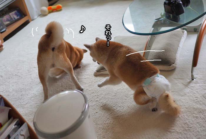 28日夜ブログ３