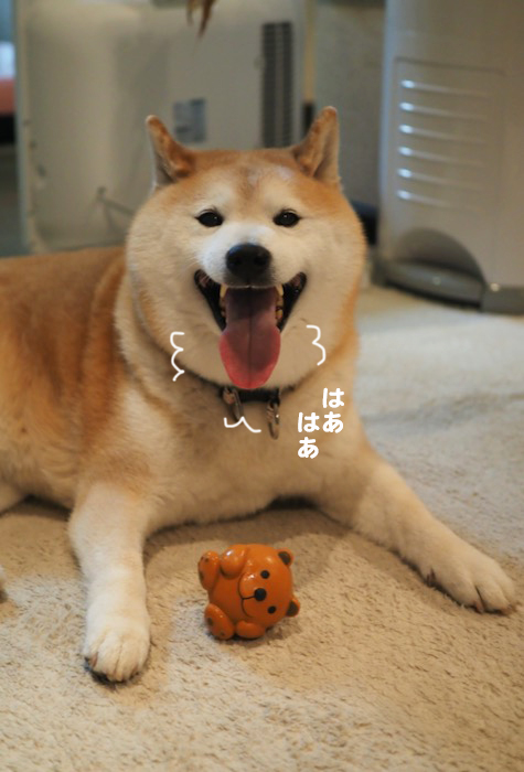21日ブログ１