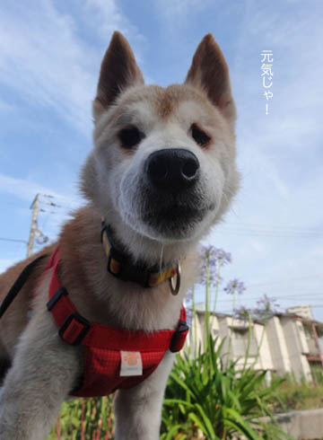 29日ブログ11.jpg