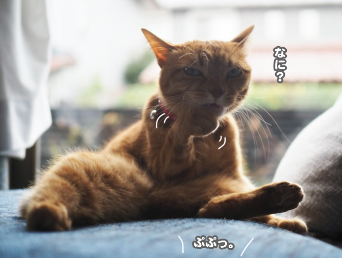 23日夜ブログ７