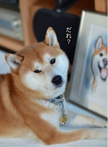 29日ブログ8.jpg