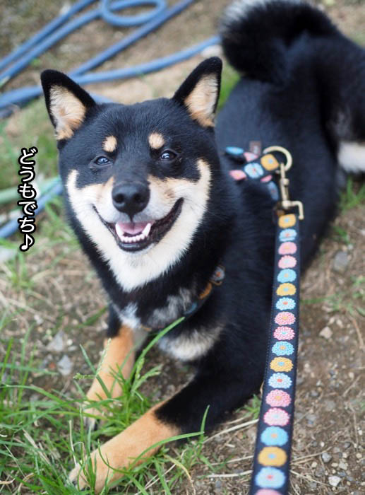 22日夕ブログ３