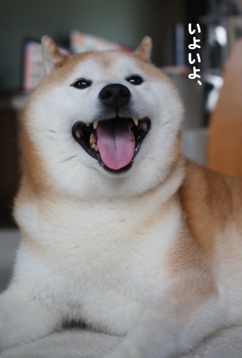 31日ブログ１