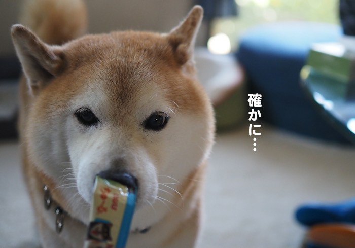 21日夕ブログ５
