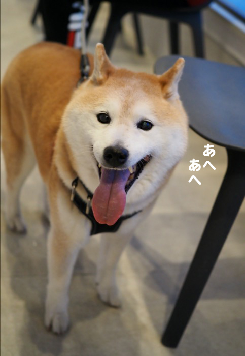 16日夕ブログ９