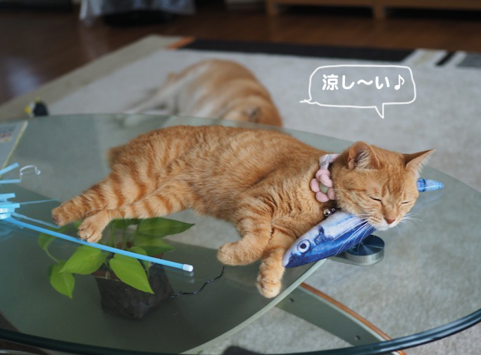 10日ブログ２