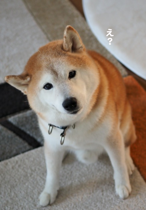 1日ブログ４
