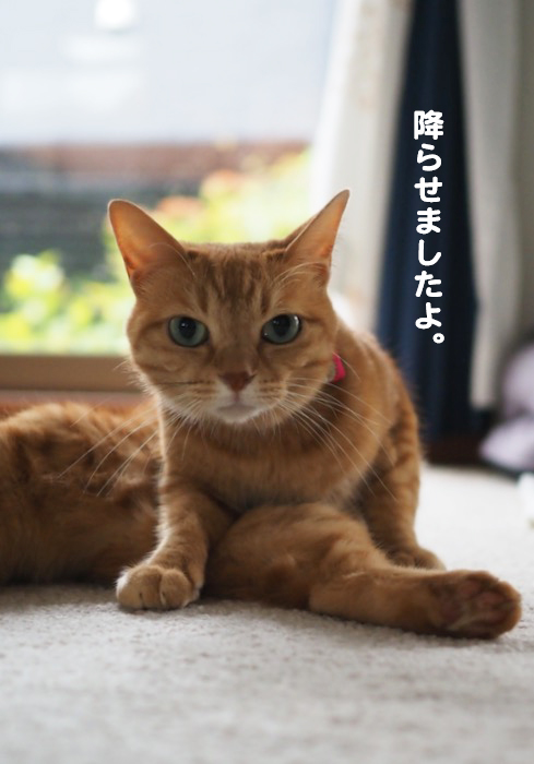10日ブログ２