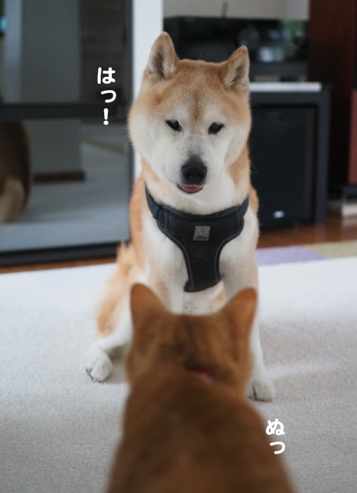 14日ブログ１