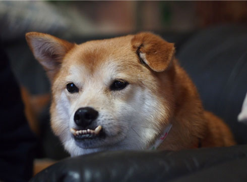 30日ブログ9.jpg