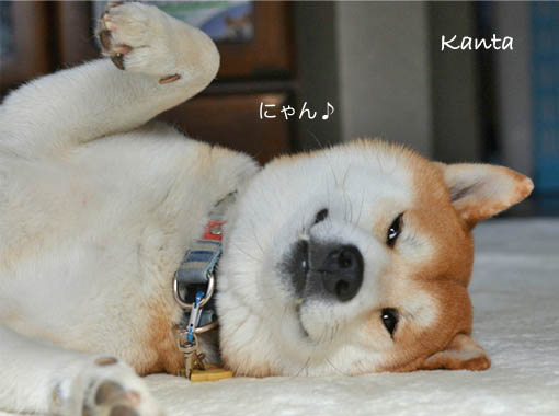 10日ブログ２４.jpg