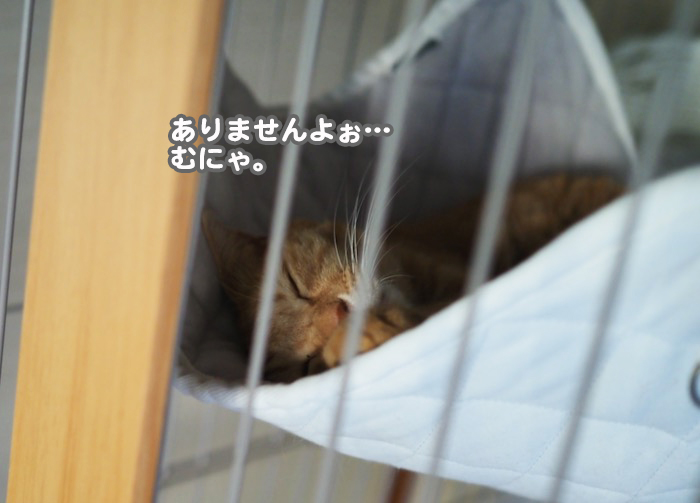 14日ブログ４
