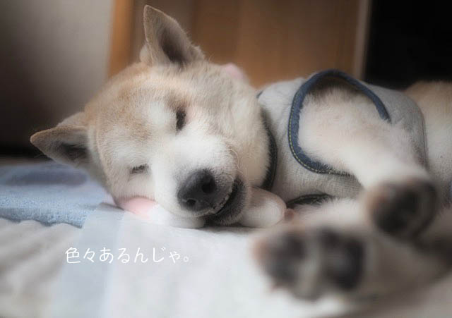21日ブログ2