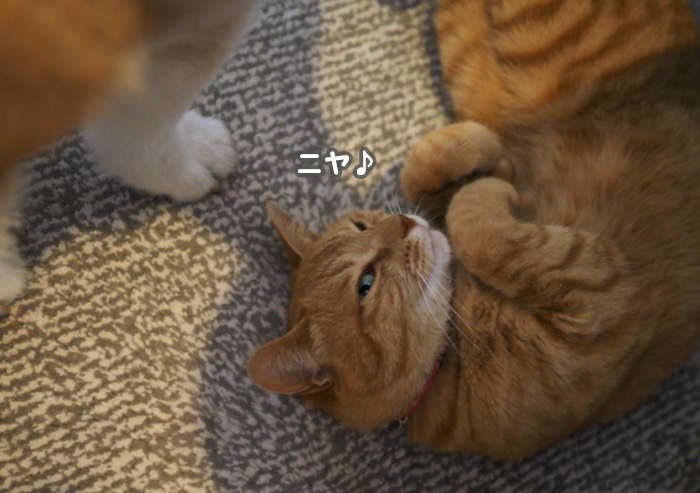 14日ブログ６