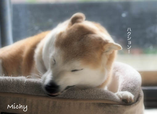 27日ブログ6.jpg