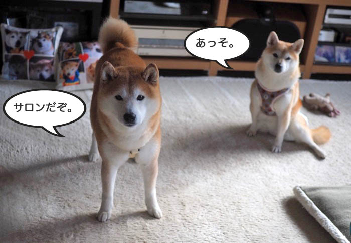 27日ブログ６