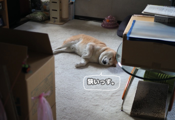 6日ブログ3