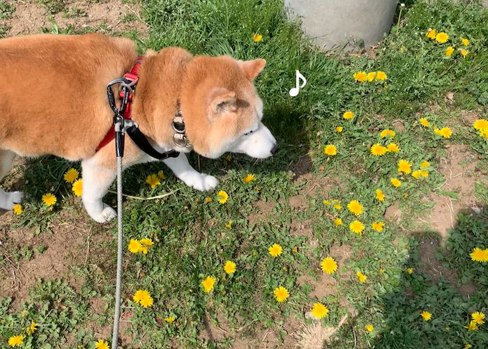 29日ブログ２