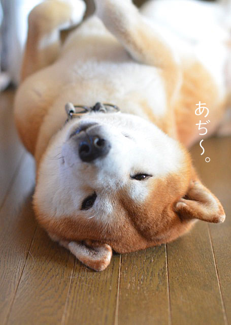 22日ブログ4