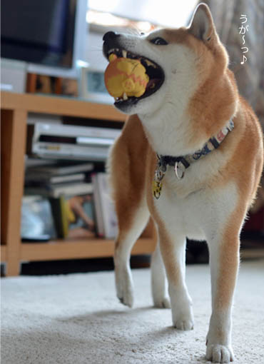 6日ブログ3.jpg