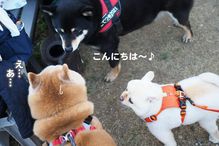 4日ブログ４