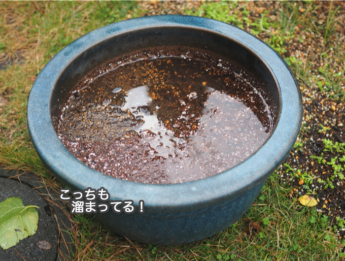 1日昼ブログ２