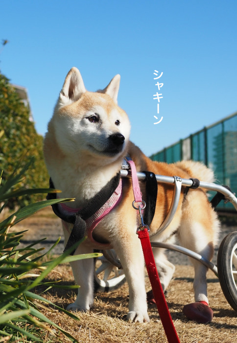 22日ブログ５