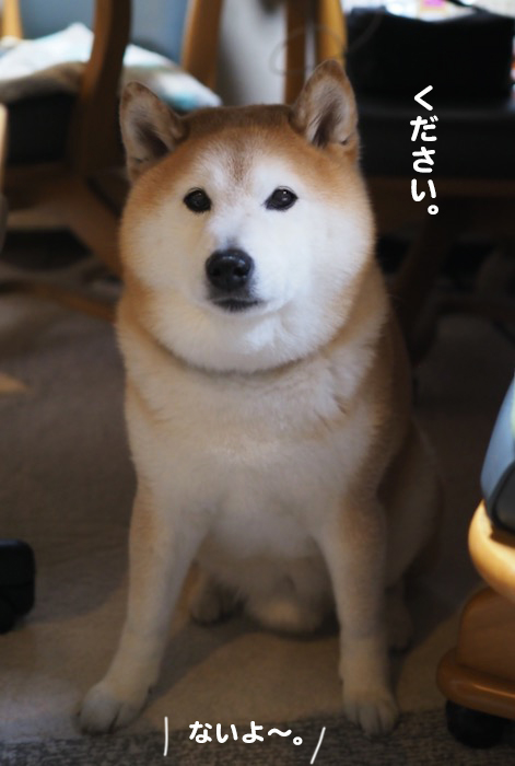 16日夕ブログ５