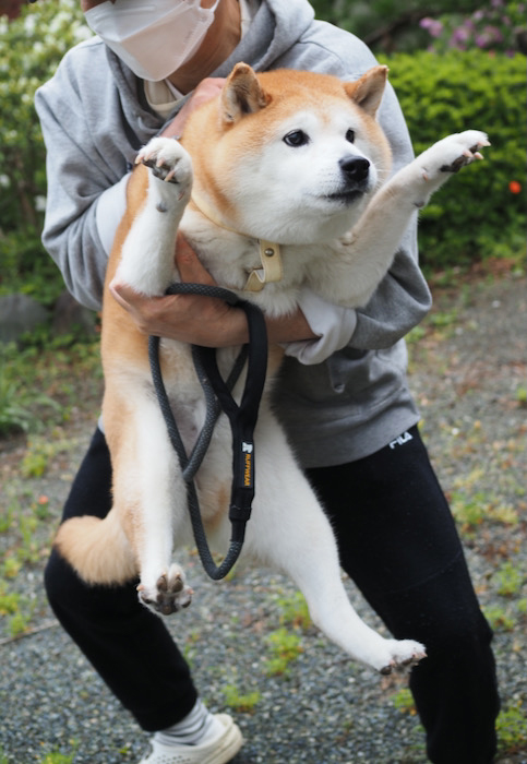 20日ブログ１０