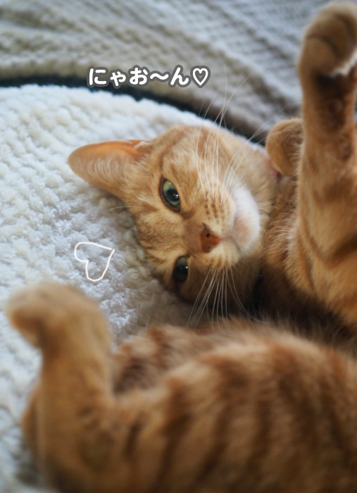 19日夕ブログ４