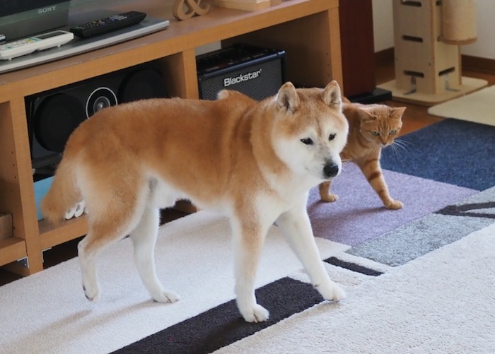 10日ブログ２
