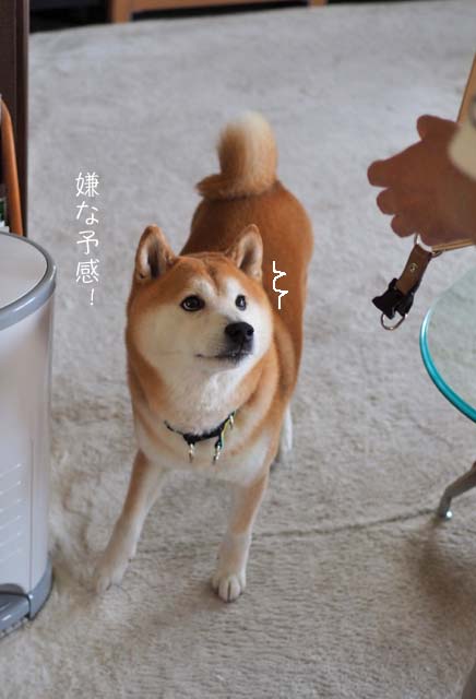 20日ブログ５