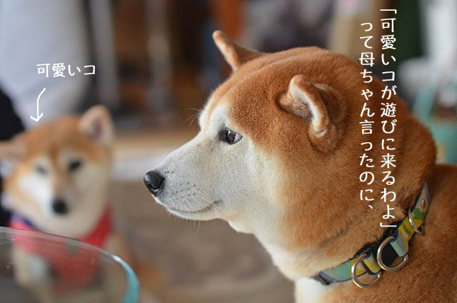 29日ブログ8