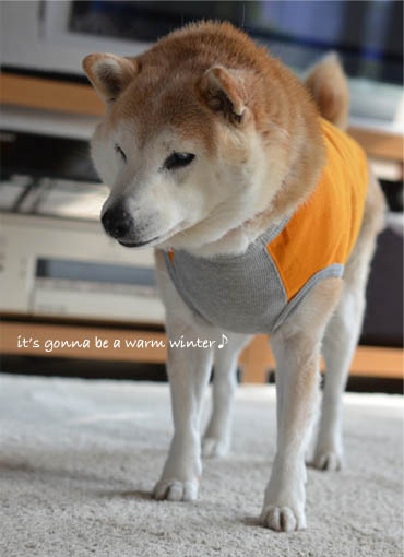 26日ブログ4.jpg