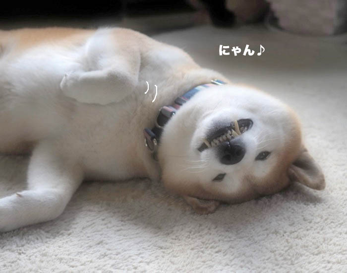 22日ブログ３