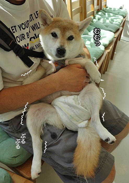 3日ブログ３
