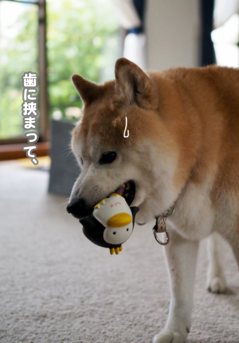 8日夕ブログ４