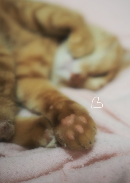 28日ブログ２