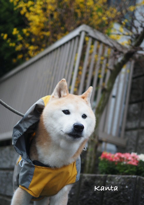 26日ブログ５