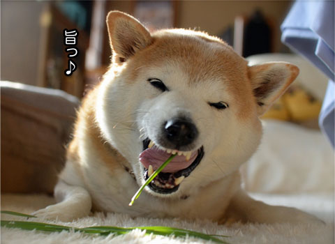 7日ブログ15.jpg