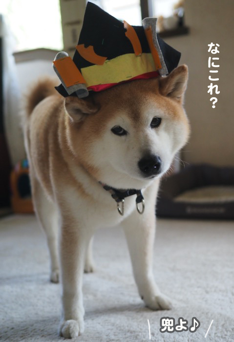 5日ブログ３jpg