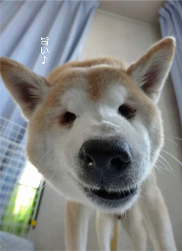 24日ブログ7.jpg
