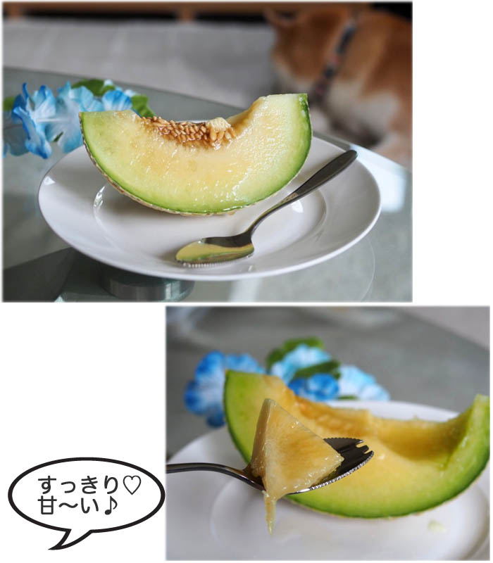 26日夕ブログ３