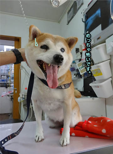 31日ブログ12.jpg